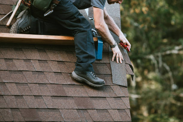 Roof Gutter Cleaning in Kewanee, IL